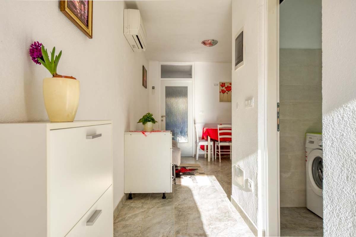 Apartments Ina & Ika 罗维尼 外观 照片