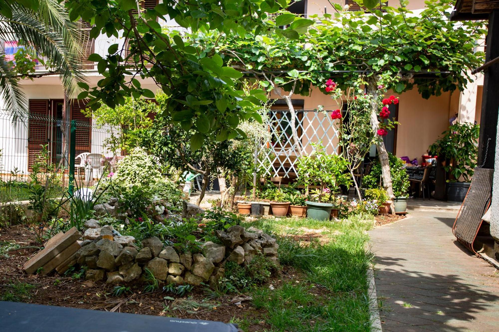 Apartments Ina & Ika 罗维尼 外观 照片