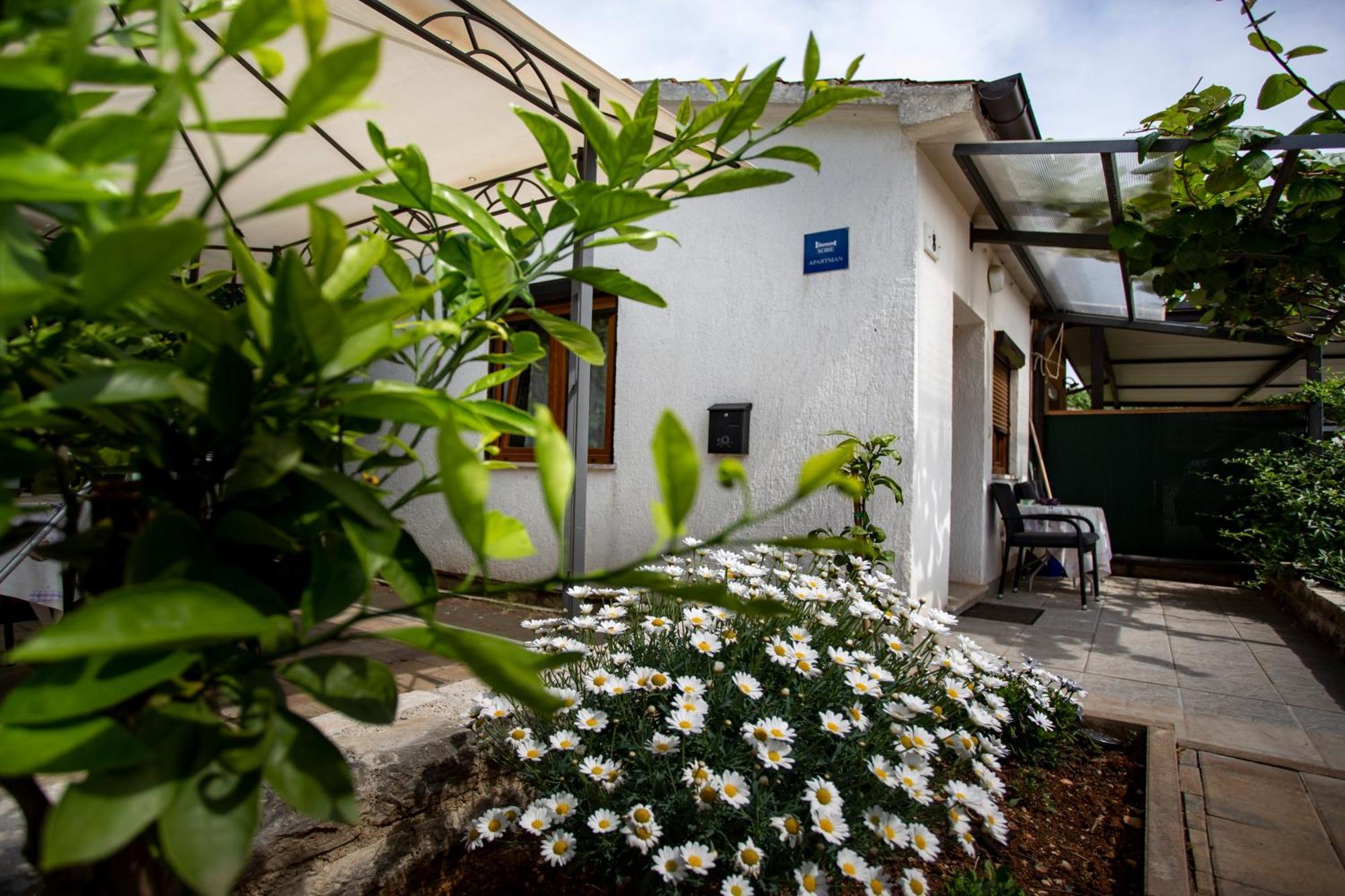 Apartments Ina & Ika 罗维尼 外观 照片
